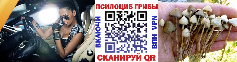 Галлюциногенные грибы ЛСД  хочу   Бодайбо 